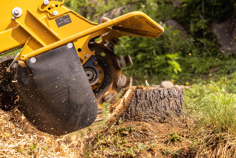 Land Clearing